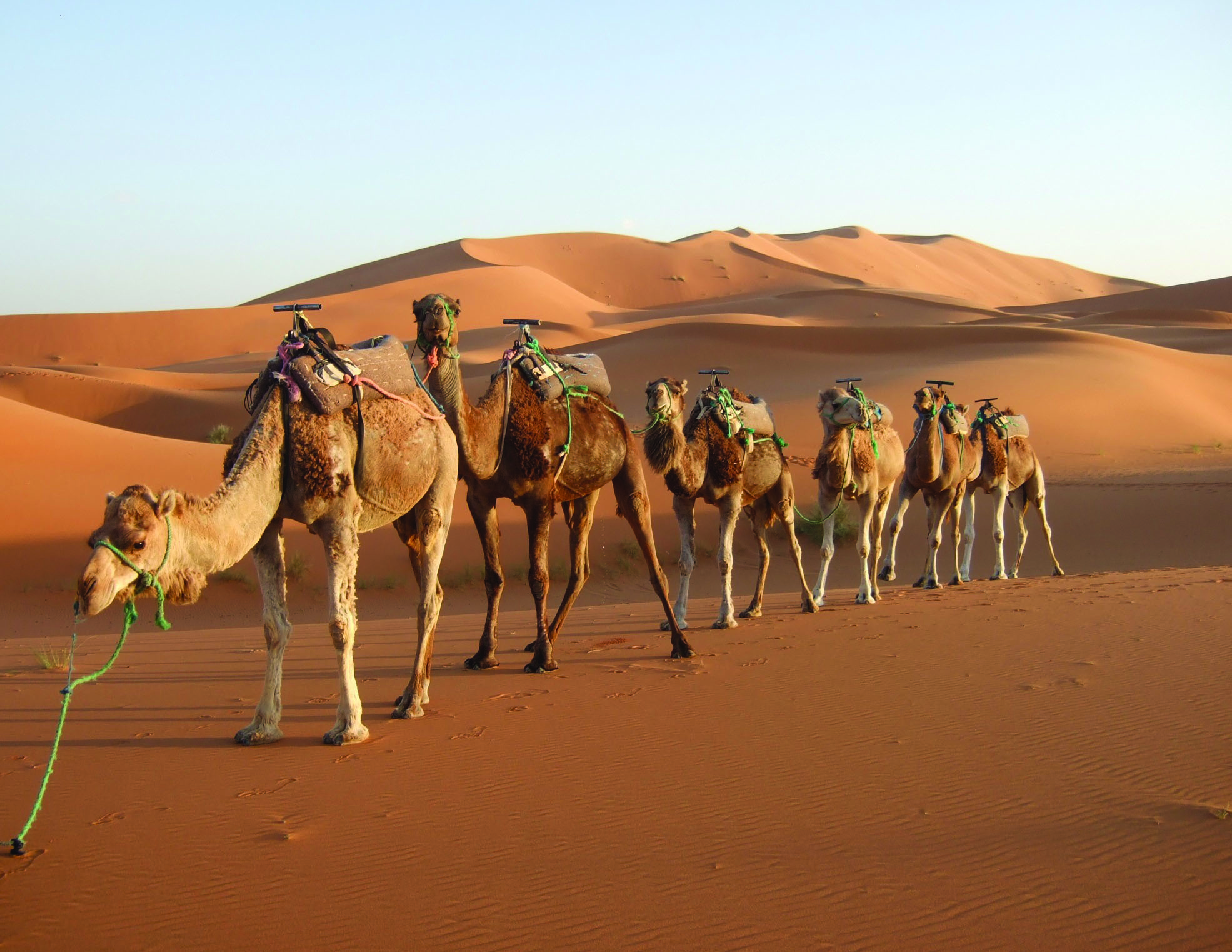 Mystical Morocco: the rugged gateway to Africa