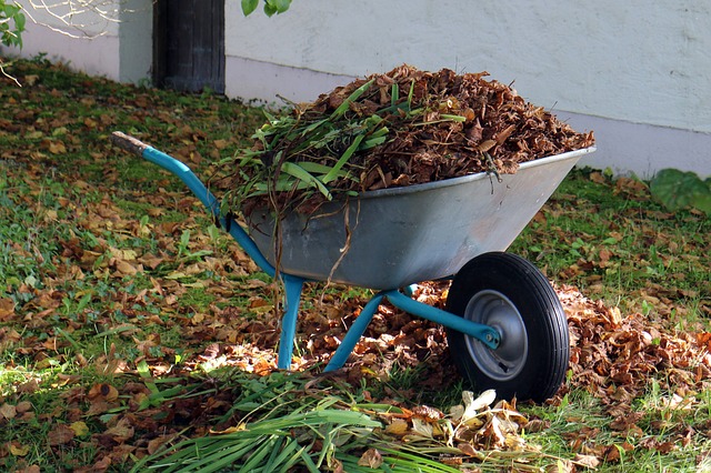 Why green thumbs love it when the leaves turn brown