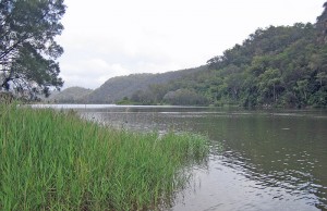 800px-Hawkesbury_River_at_Wisemans_Ferry