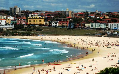 NSW beaches get tick of approval