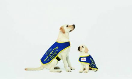 NORTH SHORE GETS INVOLVED IN SEEING EYE DOGS APPEAL