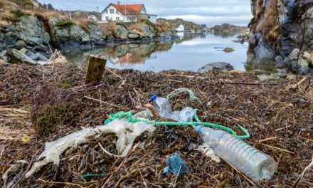 Why Australia Is Cracking Down On Plastic