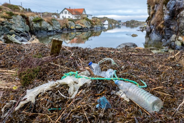 Why Australia Is Cracking Down On Plastic