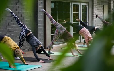 Yoga Retreats: What’s On Offer in Australia