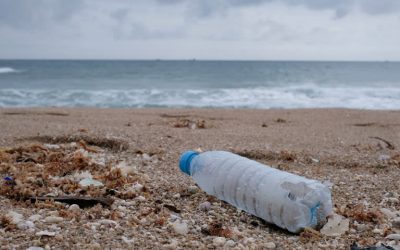 Cutting Down On Single-Use Plastic