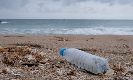 Cutting Down On Single-Use Plastic