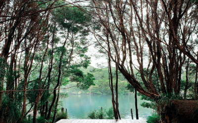 Refresh in the Wilderness of Corinna, Tasmania