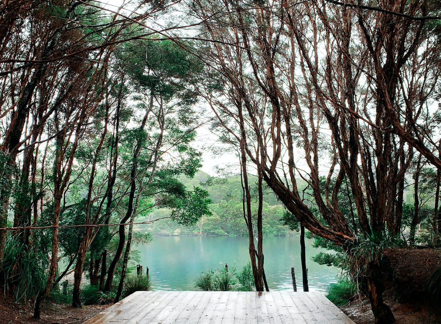 Refresh in the Wilderness of Corinna, Tasmania