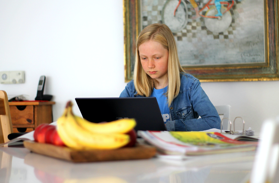 Distance Learning, a Parent’s Nightmare