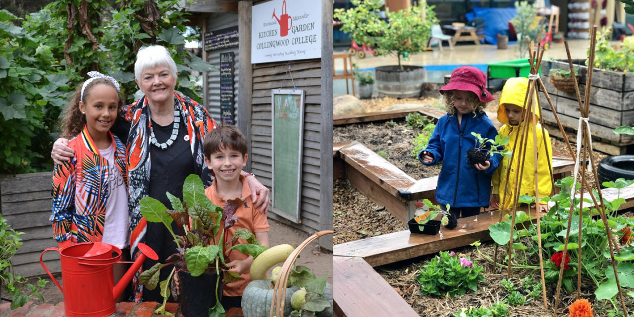 The Kitchen Garden Foundation – Food Education