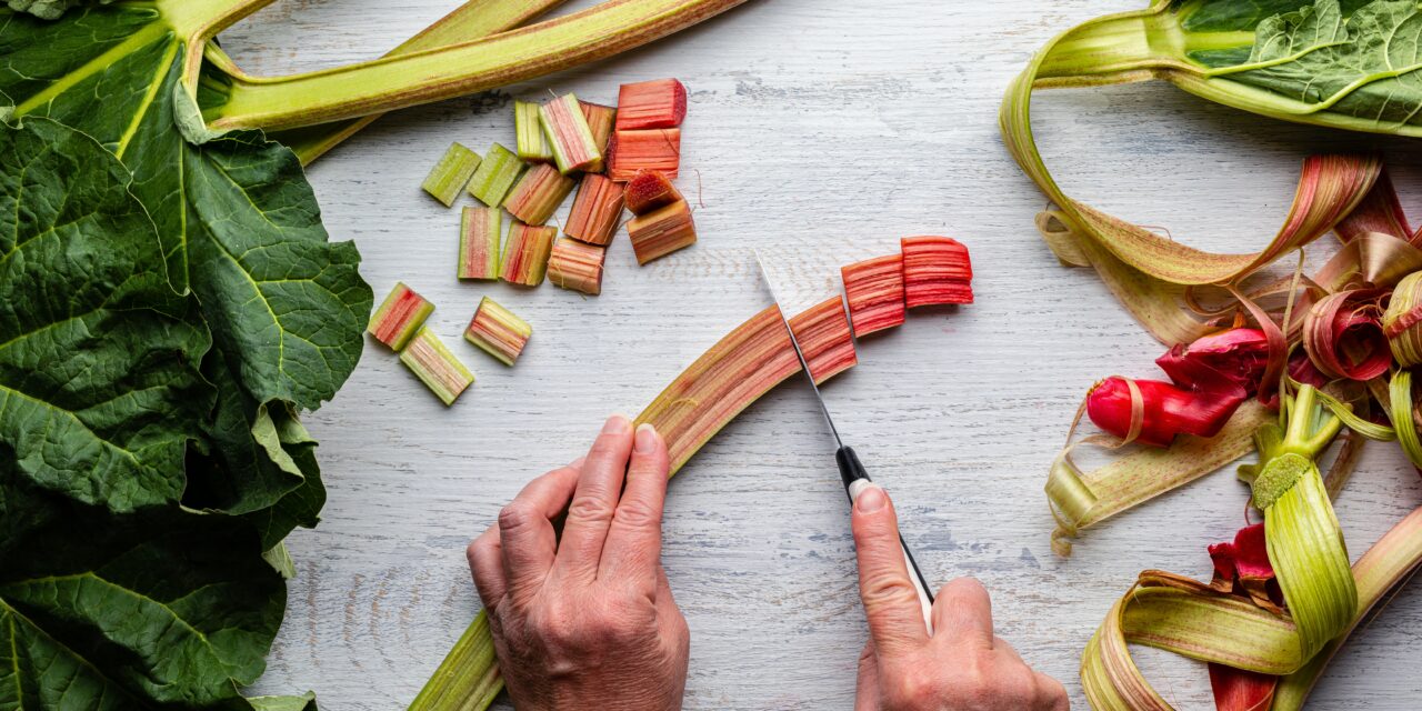 Rhubarb and Mint Sodas