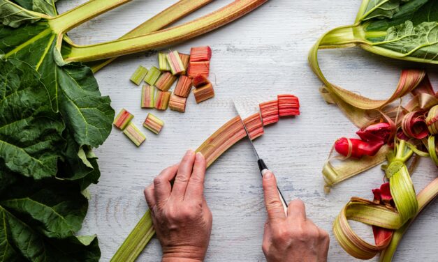 Rhubarb and Mint Sodas