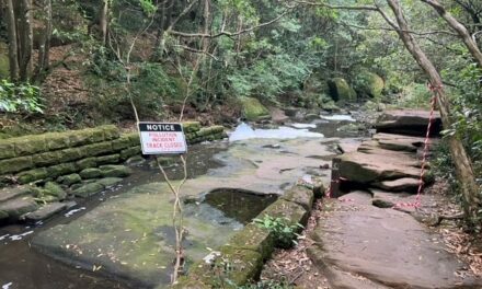 Fight for Flat Rock Creek