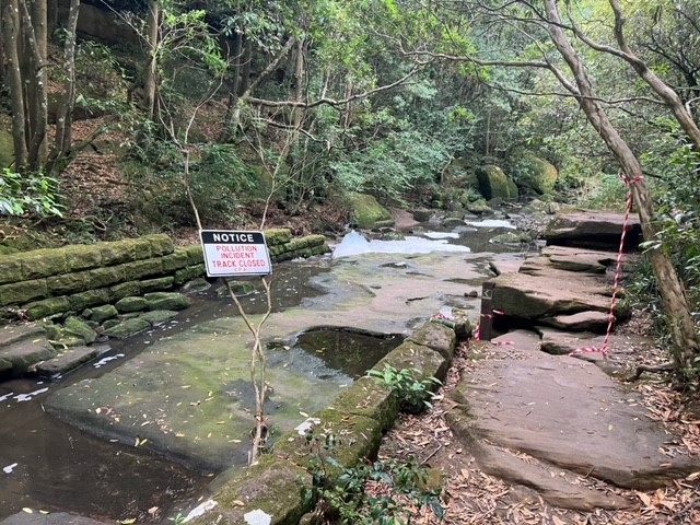 Fight for Flat Rock Creek